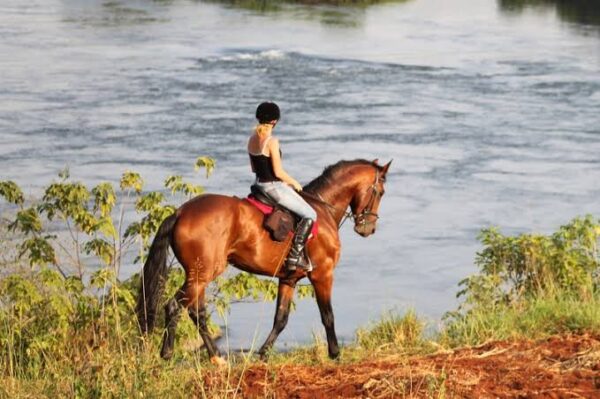 Horse Riding