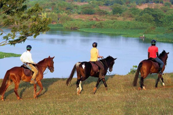 Horse Riding - Image 2