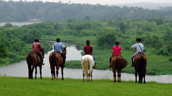 Horse Riding - Image 3